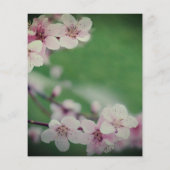 さくらんぼの花の緑の背景のフローラ チラシ (裏面)