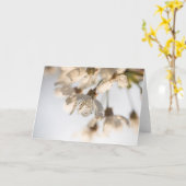 さくらんぼの花の自然写真 カード (黄色い花)