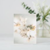 さくらんぼの花の自然写真 ポストカード (スタンド正面)