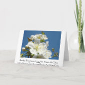 さくらんぼの花グリーティングカードブルースカイ春 シーズンカード (裏面)