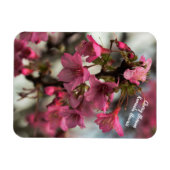 さくらんぼの花ハワイ マグネット (横)