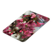 さくらんぼの花ハワイ マグネット (左側)