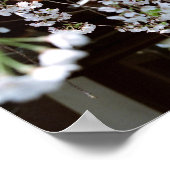 さくらんぼの花フェスティバル京都・平野神社 ポスター (角)