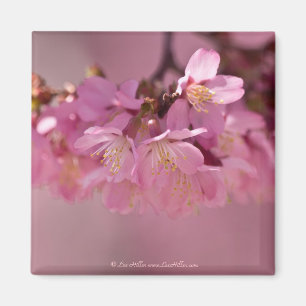 さくらんぼの花ホット春2012アパレル&ギフト マグネット