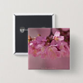 さくらんぼの花ホット春2012アパレル&ギフト 缶バッジ (正面&裏面)