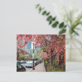 さくらんぼの花ボストンMassachusettsはがき シーズンポストカード (スタンド正面)