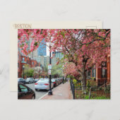 さくらんぼの花ボストンMassachusettsはがき シーズンポストカード (正面/裏面)