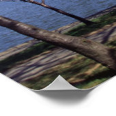 さくらんぼの花ワシントンDCポスタープリント ポスター (角)