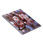さくらんぼの花房とピンクとブルー ノートブック (右側)