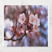 さくらんぼの花房とピンクとブルー ビールラベル (シングルラベル)