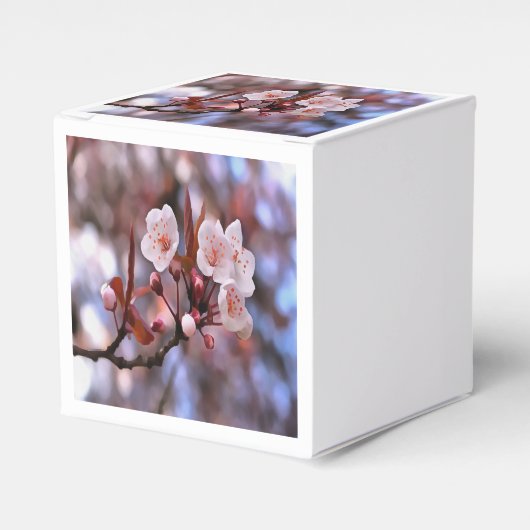 さくらんぼの花房とピンクとブルー フェイバーボックス (正面サイド)