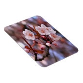 さくらんぼの花房とピンクとブルー マグネット (右側)