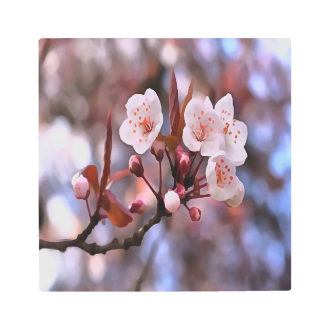 さくらんぼの花房とピンクとブルー メタルプリント (正面)