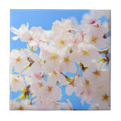 さくらんぼの花春 タイル (正面)