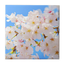 さくらんぼの花春 タイル