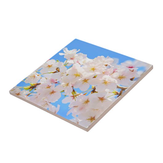 さくらんぼの花春 タイル (側面)