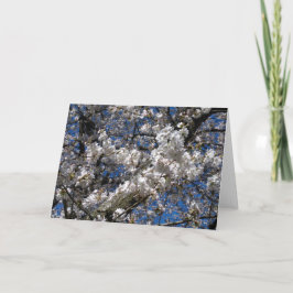 さくらんぼの花空白のの花 カード