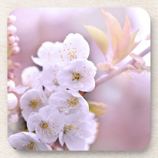 さくらんぼの花 コースター (正面)