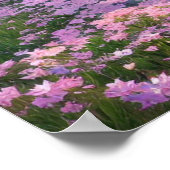 さくらんぼの花、ピンクの花、穏やかな流れ ポスター (角)