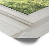 さくらんぼの花 – フェイクホワイトウィンドウ(1 0f 3) ポスター (角)