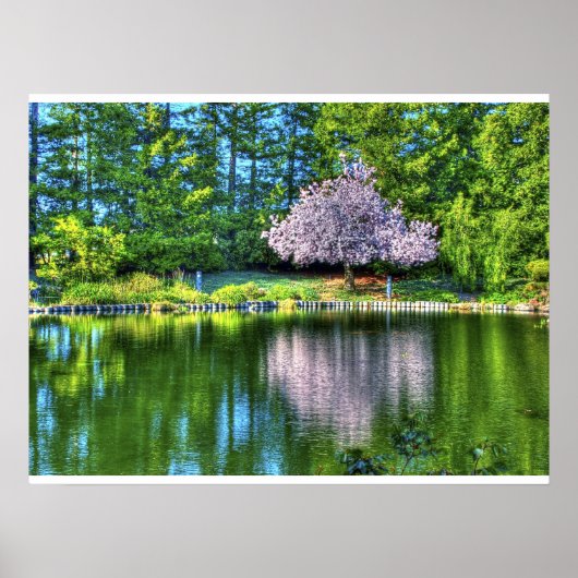 さくらんぼの花 ポスター (正面)