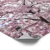 さくらんぼの花 ポスター (角)