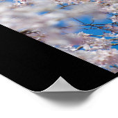 さくらんぼの花 ポスター (角)