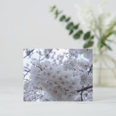 さくらんぼの花 ポストカード (スタンド正面)