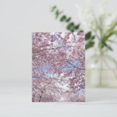 さくらんぼの花 ポストカード (スタンド正面)