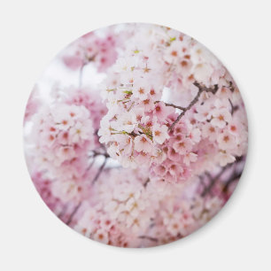 さくらんぼの花 マグネット