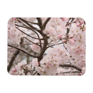 さくらんぼの花 マグネット