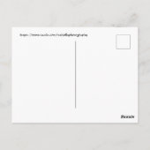 さくらんぼの花。ワシントンDC ポストカード (裏面)