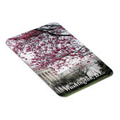 さくらんぼの花。ワシントンDC マグネット (右側)