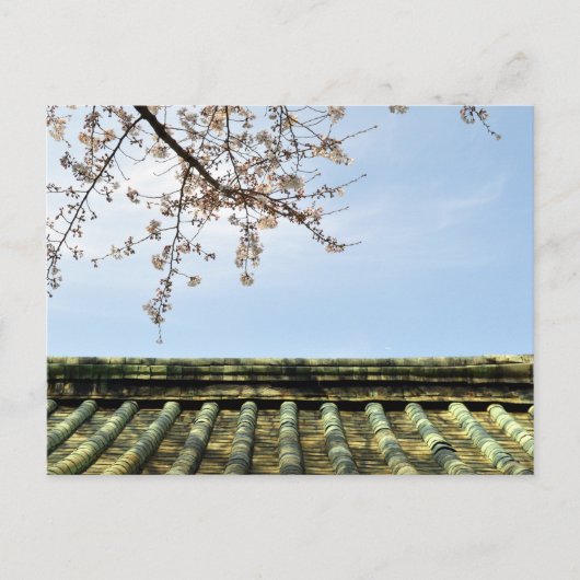 さくらんぼの花：増上寺，東京，ポストカ ポストカード (正面)