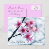 さくらんぼの花 – 日付を保存 案内ポストカード (正面/裏面)
