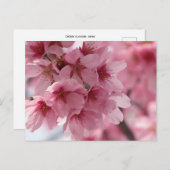さくらんぼの花：日本 ポストカード (正面/裏面)
