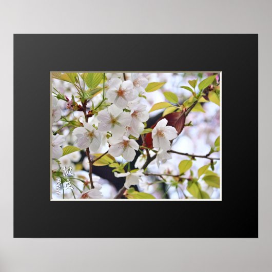 さくらんぼの花：暑い ポスター (正面)