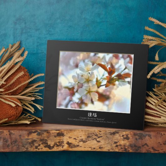 さくらんぼの花：松木 フォトプラーク (側面)