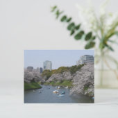 さくらんぼの花(桜)シーズン ポストカード (スタンド正面)