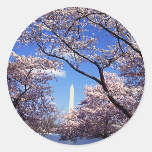 さくらんぼの花Washington DCスタンプ ラウンドシール (正面)