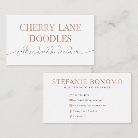 さくらんぼの車線の落書き 名刺 (正面/裏面)