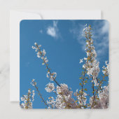 さくらんぼの青空の結婚式招待状。 招待状 (裏面)