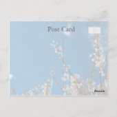 さくらんぼの青空考えに咲く ポストカード (裏面)