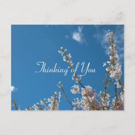 さくらんぼの青空考えに咲く ポストカード