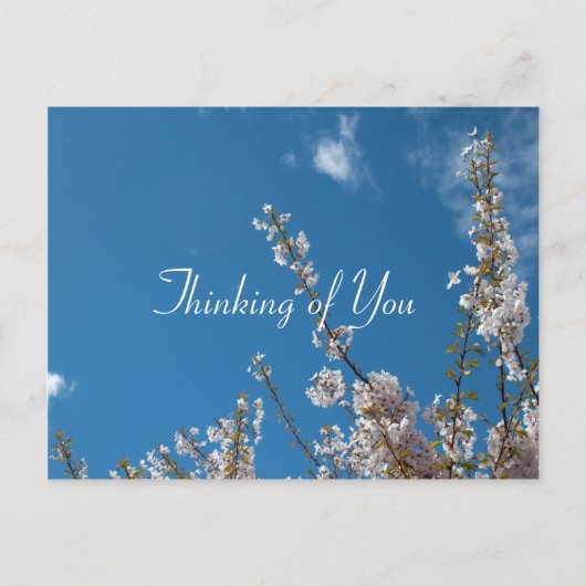 さくらんぼの青空考えに咲く ポストカード (正面)
