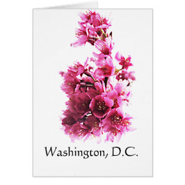 さくらんぼはワシントンDCで咲く。