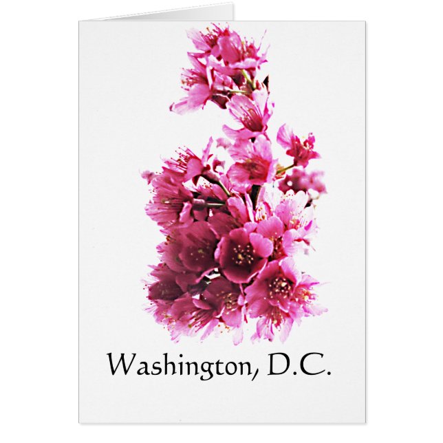 さくらんぼはワシントンDCで咲く。 (正面)