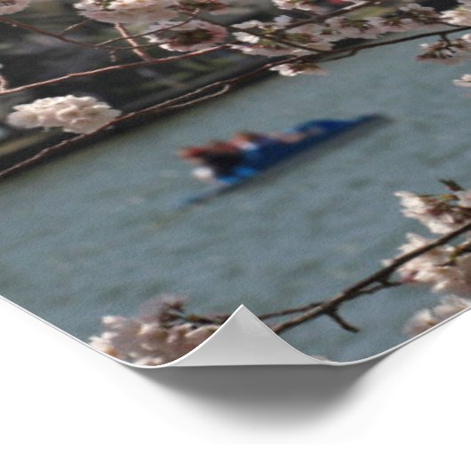 さくらんぼはワシントンDcの開花に咲く ポスター (角)