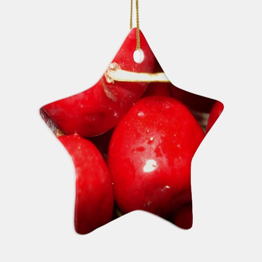 さくらんぼアートフォト セラミックオーナメント (右)