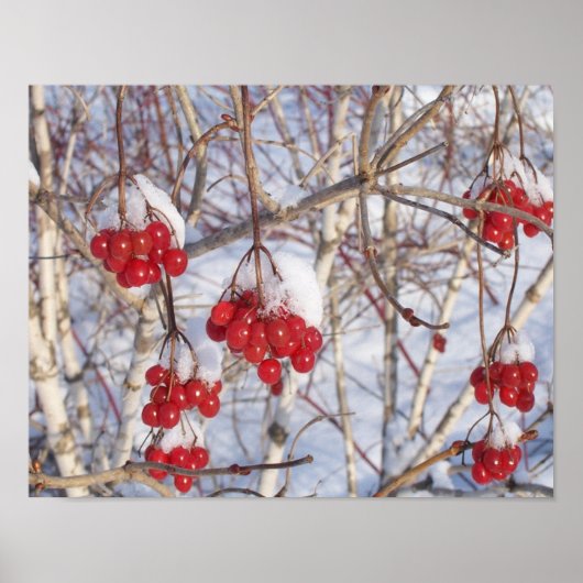 さくらんぼスノーコーン ポスター (正面)